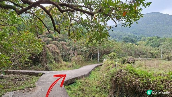 【西貢白沙澳至深涌碼頭行山篇】南山洞、明愛賽馬會小塘營、荔枝莊古道、蛇石、深涌大草原 + Go Park水上快線