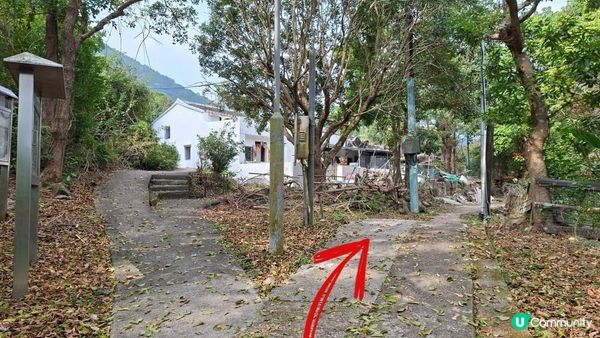 【西貢白沙澳至深涌碼頭行山篇】南山洞、明愛賽馬會小塘營、荔枝莊古道、蛇石、深涌大草原 + Go Park水上快線