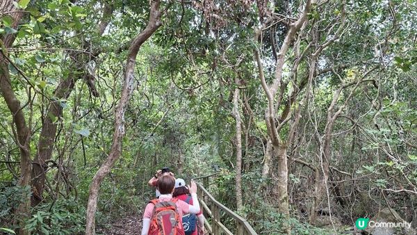 【西貢白沙澳至深涌碼頭行山篇】南山洞、明愛賽馬會小塘營、荔枝莊古道、蛇石、深涌大草原 + Go Park水上快線