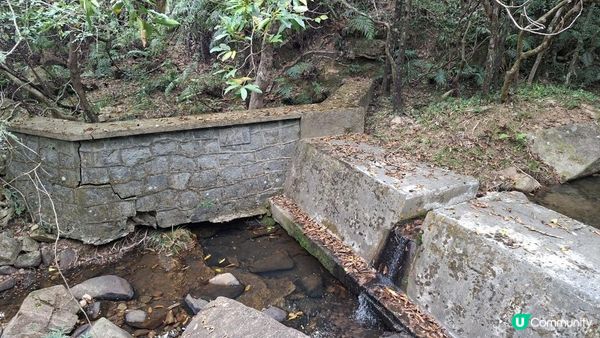【西貢白沙澳至深涌碼頭行山篇】南山洞、明愛賽馬會小塘營、荔枝莊古道、蛇石、深涌大草原 + Go Park水上快線