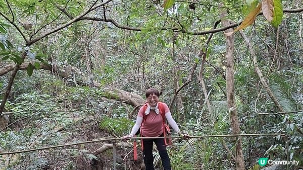【西貢白沙澳至深涌碼頭行山篇】南山洞、明愛賽馬會小塘營、荔枝莊古道、蛇石、深涌大草原 + Go Park水上快線