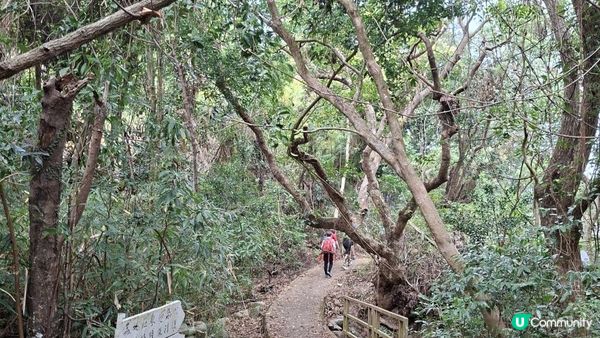 【西貢白沙澳至深涌碼頭行山篇】南山洞、明愛賽馬會小塘營、荔枝莊古道、蛇石、深涌大草原 + Go Park水上快線