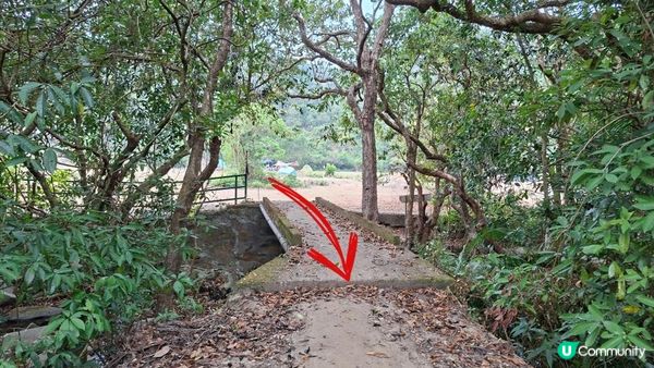 【西貢白沙澳至深涌碼頭行山篇】南山洞、明愛賽馬會小塘營、荔枝莊古道、蛇石、深涌大草原 + Go Park水上快線