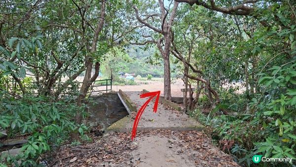 【西貢白沙澳至深涌碼頭行山篇】南山洞、明愛賽馬會小塘營、荔枝莊古道、蛇石、深涌大草原 + Go Park水上快線