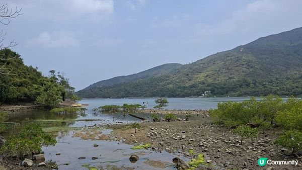 【西貢白沙澳至深涌碼頭行山篇】南山洞、明愛賽馬會小塘營、荔枝莊古道、蛇石、深涌大草原 + Go Park水上快線