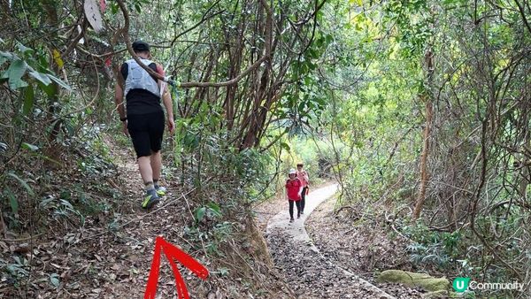 【西貢白沙澳至深涌碼頭行山篇】南山洞、明愛賽馬會小塘營、荔枝莊古道、蛇石、深涌大草原 + Go Park水上快線