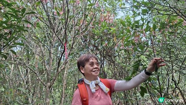 【西貢白沙澳至深涌碼頭行山篇】南山洞、明愛賽馬會小塘營、荔枝莊古道、蛇石、深涌大草原 + Go Park水上快線