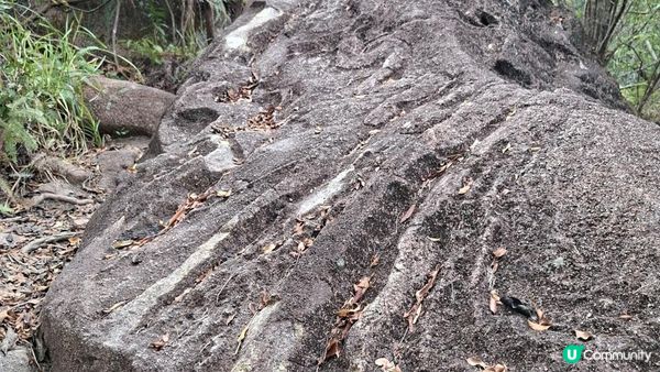 【西貢白沙澳至深涌碼頭行山篇】南山洞、明愛賽馬會小塘營、荔枝莊古道、蛇石、深涌大草原 + Go Park水上快線
