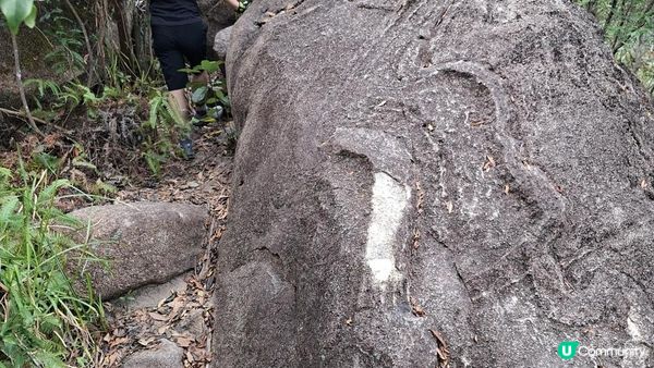 【西貢白沙澳至深涌碼頭行山篇】南山洞、明愛賽馬會小塘營、荔枝莊古道、蛇石、深涌大草原 + Go Park水上快線