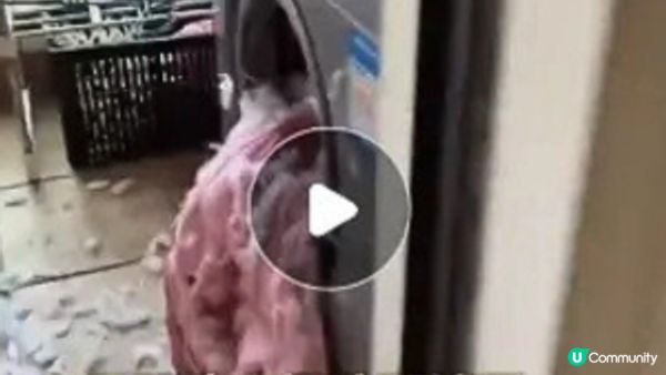 【裝修佬文章轉載】女子機洗羽絨突爆炸險毀容 羽絨到底點洗先至啱？附詳細正確清洗步驟