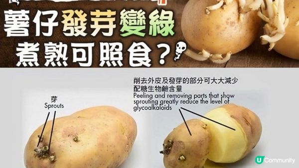 #食薯片 驚見「生毛」🥔 加埋潮濕天氣真係好難講