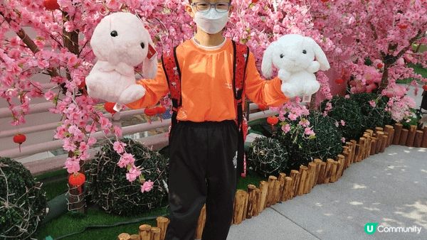 過年必到景點~ 林村許願樹