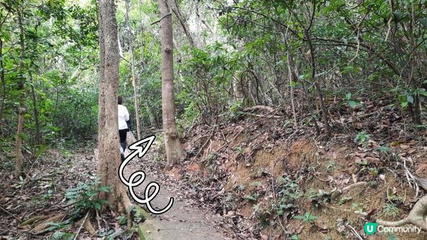 【西貢北潭涌至水浪窩行山篇】太墩、雷打石、雞公山、水浪窩觀星台