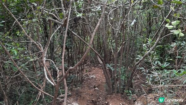 【西貢北潭涌至水浪窩行山篇】太墩、雷打石、雞公山、水浪窩觀星台