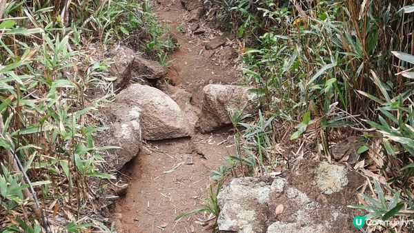 【西貢北潭涌至水浪窩行山篇】太墩、雷打石、雞公山、水浪窩觀星台