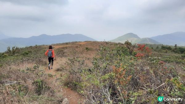 【西貢北潭涌至水浪窩行山篇】太墩、雷打石、雞公山、水浪窩觀星台
