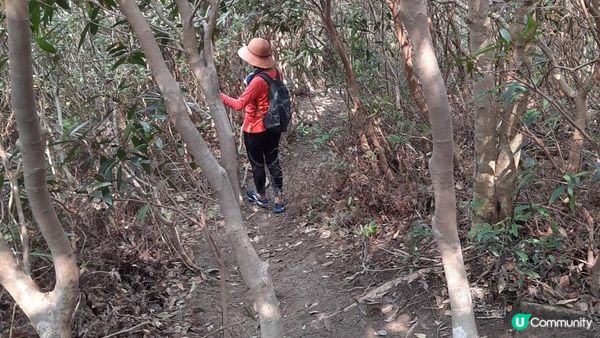 【西貢北潭涌至水浪窩行山篇】太墩、雷打石、雞公山、水浪窩觀星台