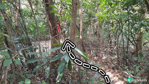 【西貢北潭涌至水浪窩行山篇】太墩、雷打石、雞公山、水浪窩觀星台