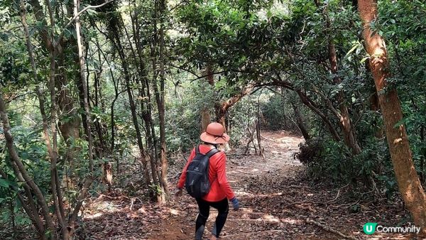 【西貢北潭涌至水浪窩行山篇】太墩、雷打石、雞公山、水浪窩觀星台