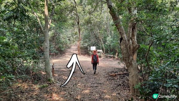 【西貢北潭涌至水浪窩行山篇】太墩、雷打石、雞公山、水浪窩觀星台