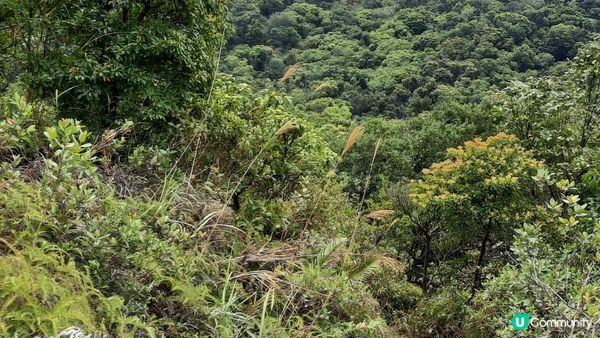 【西貢北潭涌至水浪窩行山篇】太墩、雷打石、雞公山、水浪窩觀星台