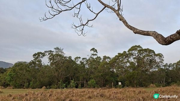 【體驗滿滿的馬鞍山昂平觀日出🌄】馬鞍山村(起點)，西貢市(終點)