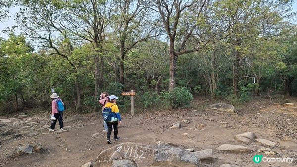 【體驗滿滿的馬鞍山昂平觀日出🌄】馬鞍山村(起點)，西貢市(終點)