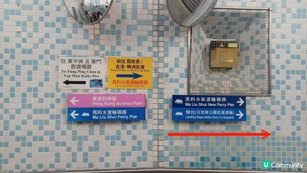 ⛴️ 鴨洲吉澳離島一日遊