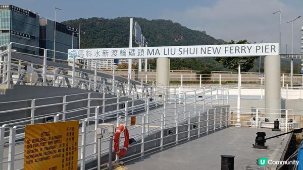⛴️ 鴨洲吉澳離島一日遊