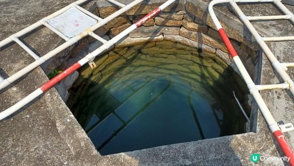 ⛴️ 鴨洲吉澳離島一日遊