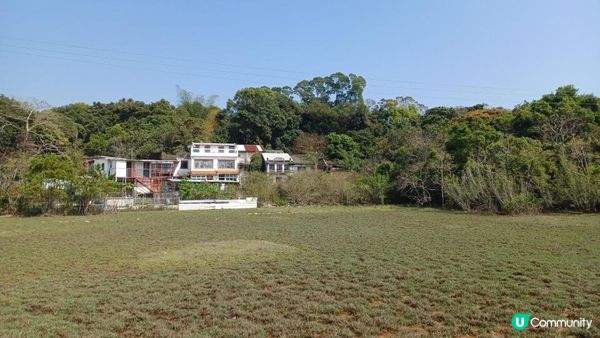 ⛴️ 鴨洲吉澳離島一日遊