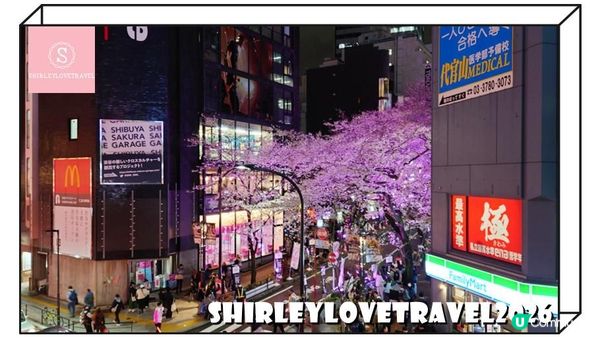 【日系情旅遊日本】輕鬆避開人潮拍櫻花美照！3大 東京櫻花 景點推薦