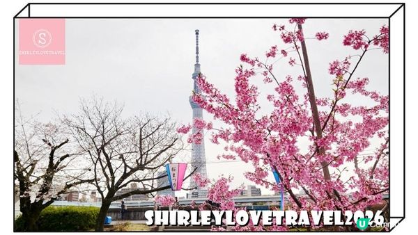 【日系情旅遊日本】輕鬆避開人潮拍櫻花美照！3大 東京櫻花 景點推薦