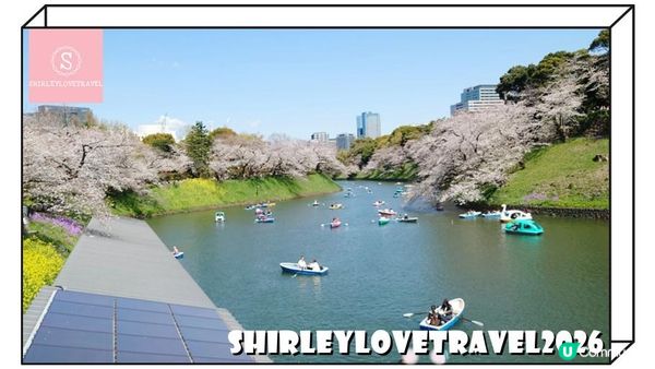 【日系情旅遊日本】輕鬆避開人潮拍櫻花美照！3大 東京櫻花 景點推薦