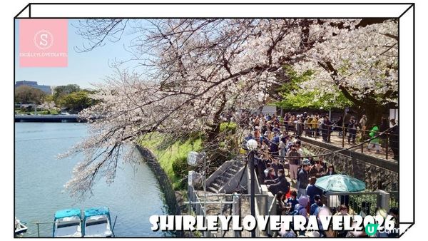 【日系情旅遊日本】輕鬆避開人潮拍櫻花美照！3大 東京櫻花 景點推薦