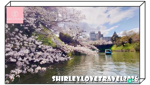 【日系情旅遊日本】輕鬆避開人潮拍櫻花美照！3大 東京櫻花 景點推薦