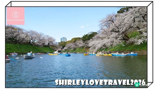 【日系情旅遊日本】輕鬆避開人潮拍櫻花美照！3大 東京櫻花 景點推薦