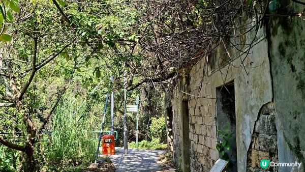 【南丫島尋石行山篇】月老石、蝸牛石、巫婆石、山地塘