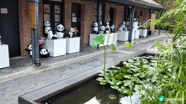 荔枝角饒宗頤文化館的翠雅山房，為城市中的綠洲，可以體驗獨特的...