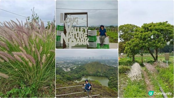 【古洞麒麟山坳至上水行山篇】古洞水塘 ➕️ 塱原濕地公園