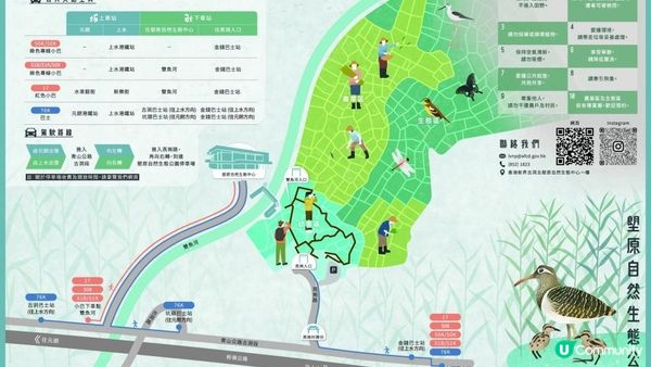 【古洞麒麟山坳至上水行山篇】古洞水塘 ➕️ 塱原濕地公園