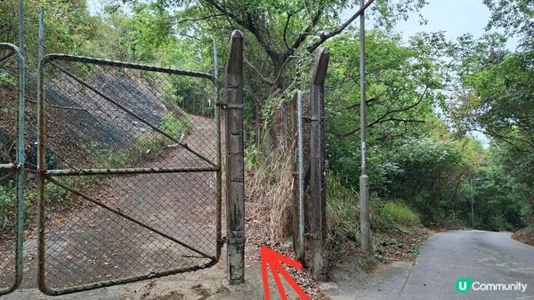 【古洞麒麟山坳至上水行山篇】古洞水塘 ➕️ 塱原濕地公園