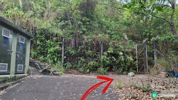 【古洞麒麟山坳至上水行山篇】古洞水塘 ➕️ 塱原濕地公園