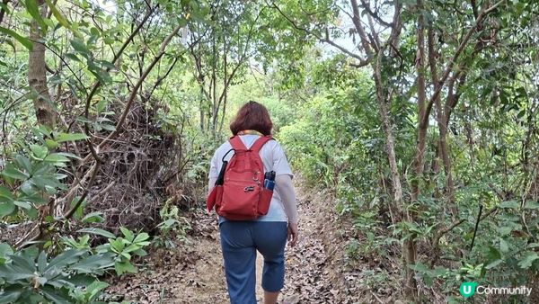 【古洞麒麟山坳至上水行山篇】古洞水塘 ➕️ 塱原濕地公園