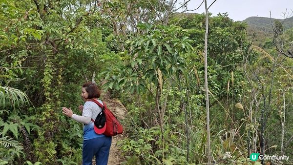 【古洞麒麟山坳至上水行山篇】古洞水塘 ➕️ 塱原濕地公園