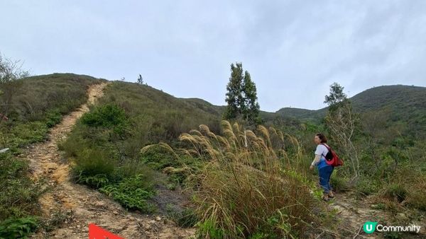 【古洞麒麟山坳至上水行山篇】古洞水塘 ➕️ 塱原濕地公園