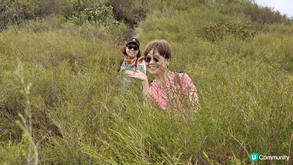 【古洞麒麟山坳至上水行山篇】古洞水塘 ➕️ 塱原濕地公園