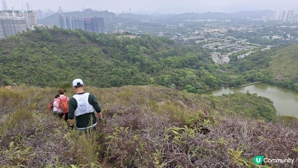 【古洞麒麟山坳至上水行山篇】古洞水塘 ➕️ 塱原濕地公園