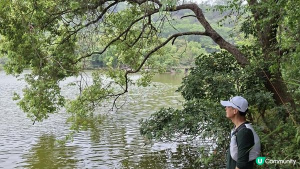 【古洞麒麟山坳至上水行山篇】古洞水塘 ➕️ 塱原濕地公園