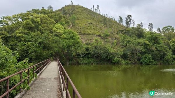 【古洞麒麟山坳至上水行山篇】古洞水塘 ➕️ 塱原濕地公園
